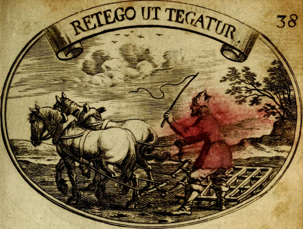 An illustration from Die mit teutschen Saiten überzogene, heilige Kron-Harffe, oder, Verfassung des gantzen Psalter Davids in teutsche Reim-Gebände : vermittelst sonderbarer darzu mit dem basso continuo, neu-verfertigter Kunst-Melodeyen ..., 1680, leaf 232