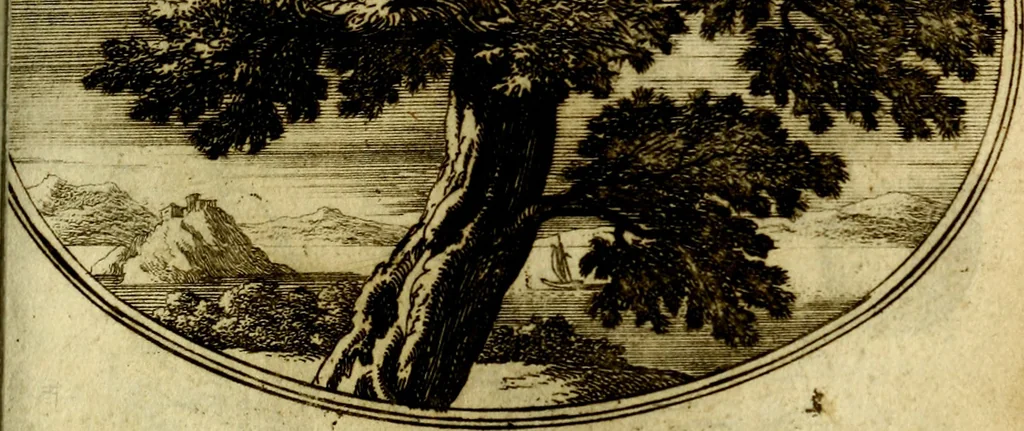 An illustration from Die mit teutschen Saiten überzogene, heilige Kron-Harffe, oder, Verfassung des gantzen Psalter Davids in teutsche Reim-Gebände : vermittelst sonderbarer darzu mit dem basso continuo, neu-verfertigter Kunst-Melodeyen ..., 1680, leaf 248