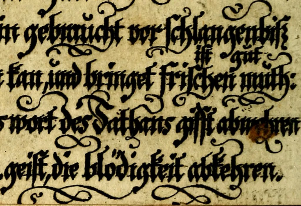 An illustration from Die mit teutschen Saiten überzogene, heilige Kron-Harffe, oder, Verfassung des gantzen Psalter Davids in teutsche Reim-Gebände : vermittelst sonderbarer darzu mit dem basso continuo, neu-verfertigter Kunst-Melodeyen ..., 1680, leaf 255