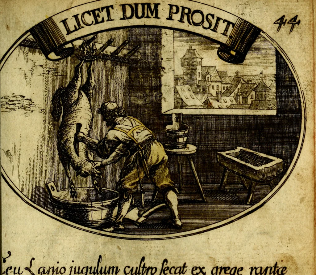 An illustration from Die mit teutschen Saiten überzogene, heilige Kron-Harffe, oder, Verfassung des gantzen Psalter Davids in teutsche Reim-Gebände : vermittelst sonderbarer darzu mit dem basso continuo, neu-verfertigter Kunst-Melodeyen ..., 1680, leaf 264