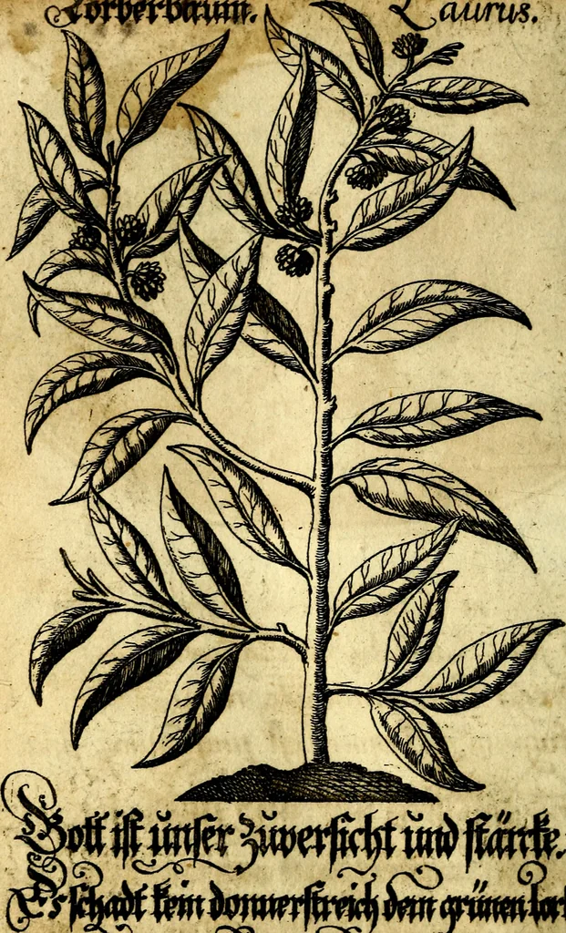 An illustration from Die mit teutschen Saiten überzogene, heilige Kron-Harffe, oder, Verfassung des gantzen Psalter Davids in teutsche Reim-Gebände : vermittelst sonderbarer darzu mit dem basso continuo, neu-verfertigter Kunst-Melodeyen ..., 1680, leaf 277