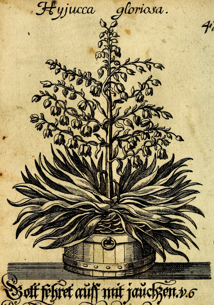 An illustration from Die mit teutschen Saiten überzogene, heilige Kron-Harffe, oder, Verfassung des gantzen Psalter Davids in teutsche Reim-Gebände : vermittelst sonderbarer darzu mit dem basso continuo, neu-verfertigter Kunst-Melodeyen ..., 1680, leaf 283