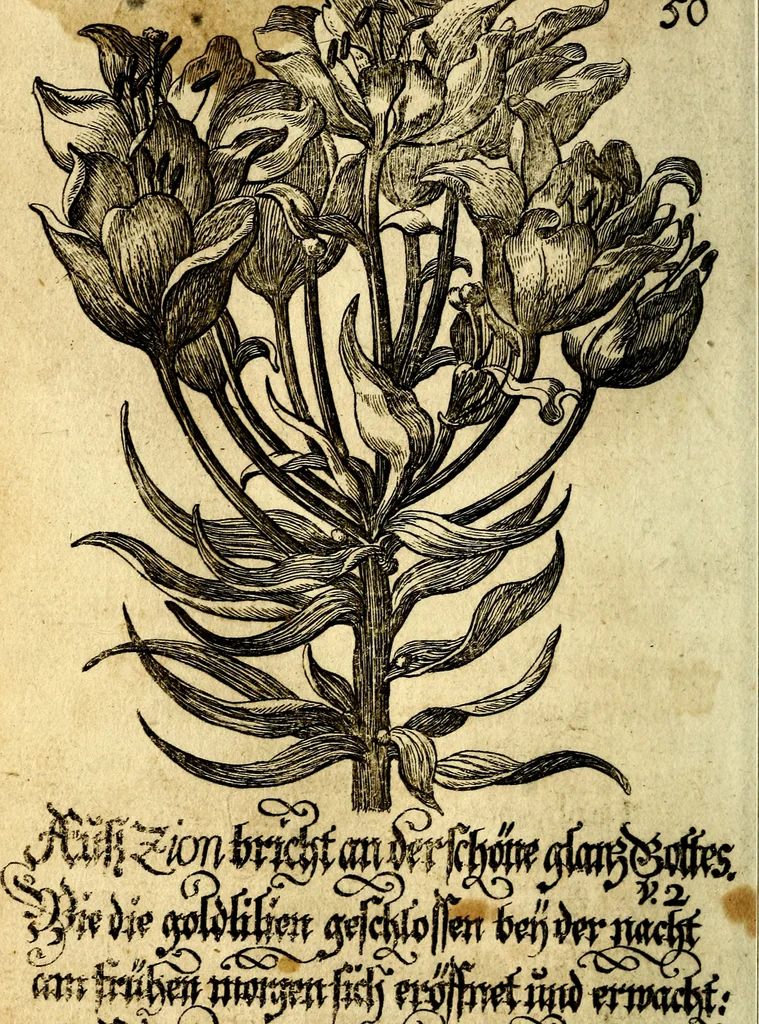 An illustration from Die mit teutschen Saiten überzogene, heilige Kron-Harffe, oder, Verfassung des gantzen Psalter Davids in teutsche Reim-Gebände : vermittelst sonderbarer darzu mit dem basso continuo, neu-verfertigter Kunst-Melodeyen ..., 1680, leaf 299