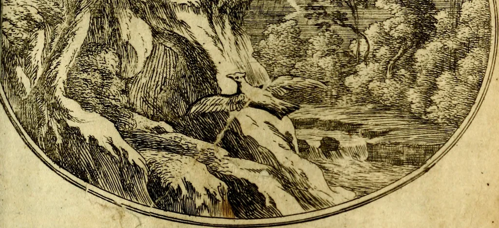 An illustration from Die mit teutschen Saiten überzogene, heilige Kron-Harffe, oder, Verfassung des gantzen Psalter Davids in teutsche Reim-Gebände : vermittelst sonderbarer darzu mit dem basso continuo, neu-verfertigter Kunst-Melodeyen ..., 1680, leaf 324