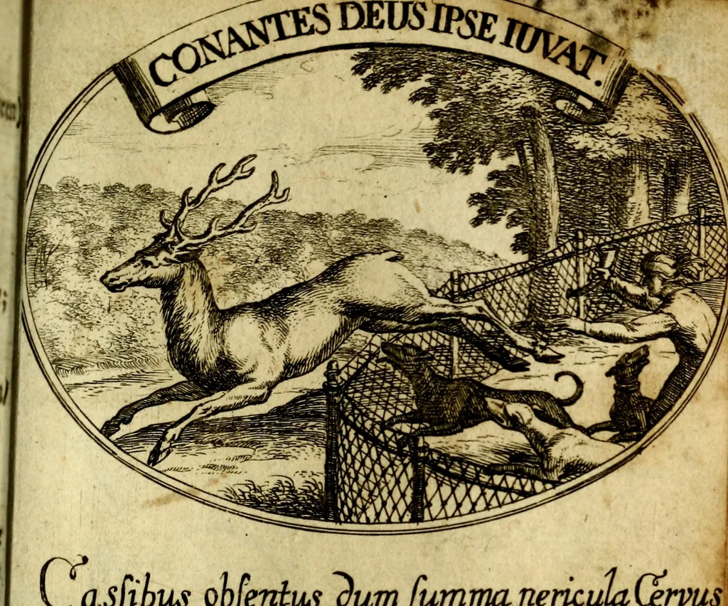 An illustration from Die mit teutschen Saiten überzogene, heilige Kron-Harffe, oder, Verfassung des gantzen Psalter Davids in teutsche Reim-Gebände : vermittelst sonderbarer darzu mit dem basso continuo, neu-verfertigter Kunst-Melodeyen ..., 1680, leaf 334
