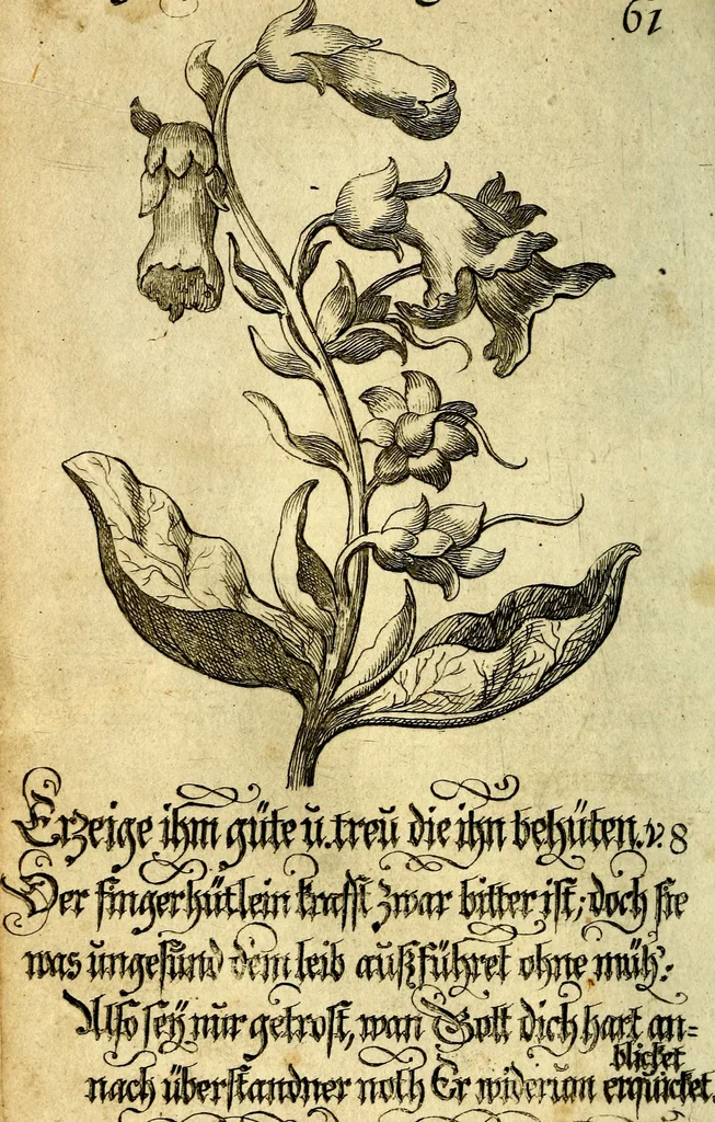 An illustration from Die mit teutschen Saiten überzogene, heilige Kron-Harffe, oder, Verfassung des gantzen Psalter Davids in teutsche Reim-Gebände : vermittelst sonderbarer darzu mit dem basso continuo, neu-verfertigter Kunst-Melodeyen ..., 1680, leaf 357