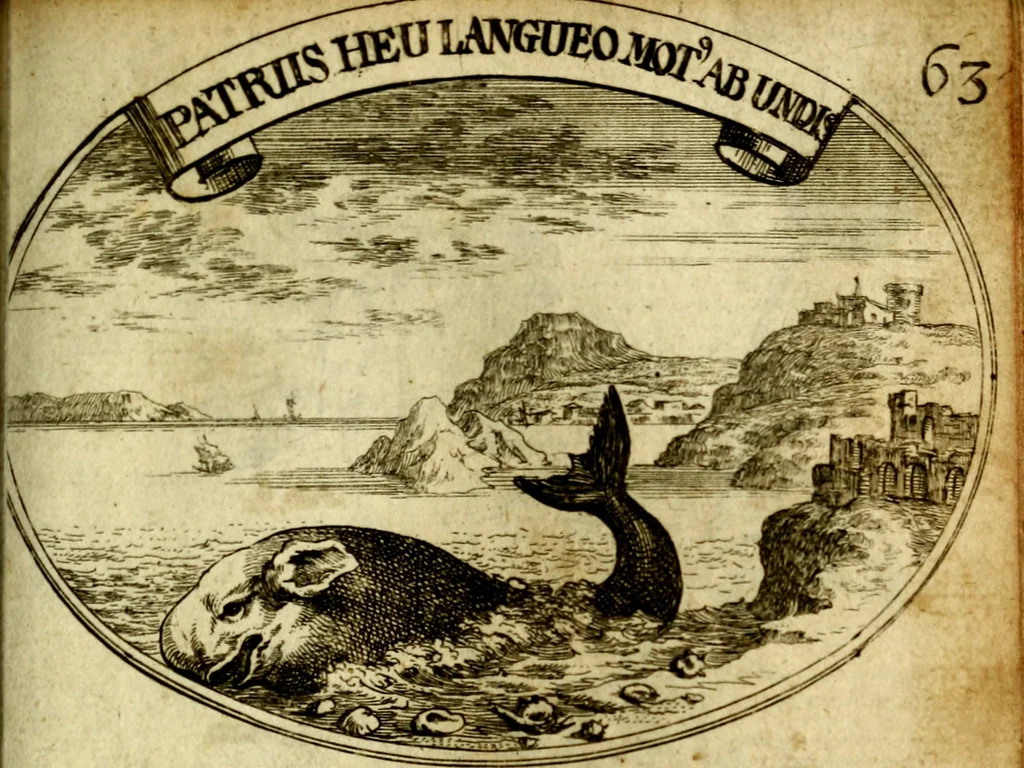 An illustration from Die mit teutschen Saiten überzogene, heilige Kron-Harffe, oder, Verfassung des gantzen Psalter Davids in teutsche Reim-Gebände : vermittelst sonderbarer darzu mit dem basso continuo, neu-verfertigter Kunst-Melodeyen ..., 1680, leaf 366