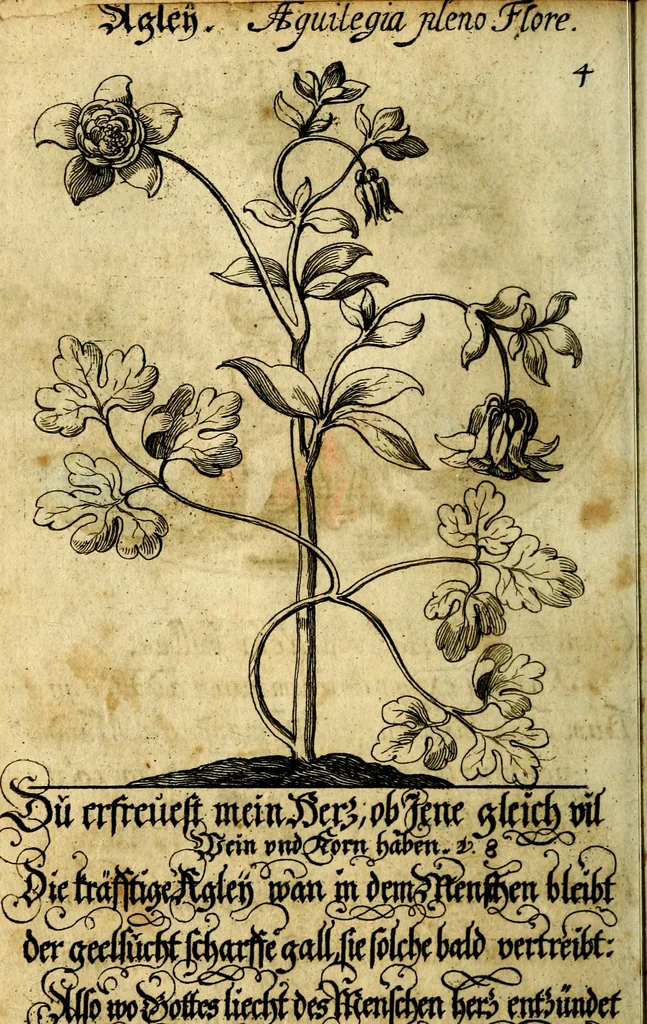 An illustration from Die mit teutschen Saiten überzogene, heilige Kron-Harffe, oder, Verfassung des gantzen Psalter Davids in teutsche Reim-Gebände : vermittelst sonderbarer darzu mit dem basso continuo, neu-verfertigter Kunst-Melodeyen ..., 1680, leaf 39