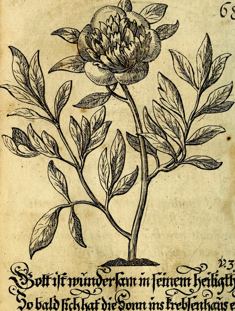 An illustration from Die mit teutschen Saiten überzogene, heilige Kron-Harffe, oder, Verfassung des gantzen Psalter Davids in teutsche Reim-Gebände : vermittelst sonderbarer darzu mit dem basso continuo, neu-verfertigter Kunst-Melodeyen ..., 1680, leaf 391