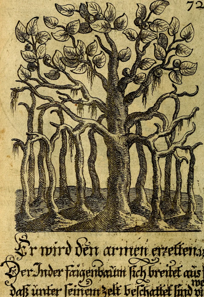 An illustration from Die mit teutschen Saiten überzogene, heilige Kron-Harffe, oder, Verfassung des gantzen Psalter Davids in teutsche Reim-Gebände : vermittelst sonderbarer darzu mit dem basso continuo, neu-verfertigter Kunst-Melodeyen ..., 1680, leaf 415