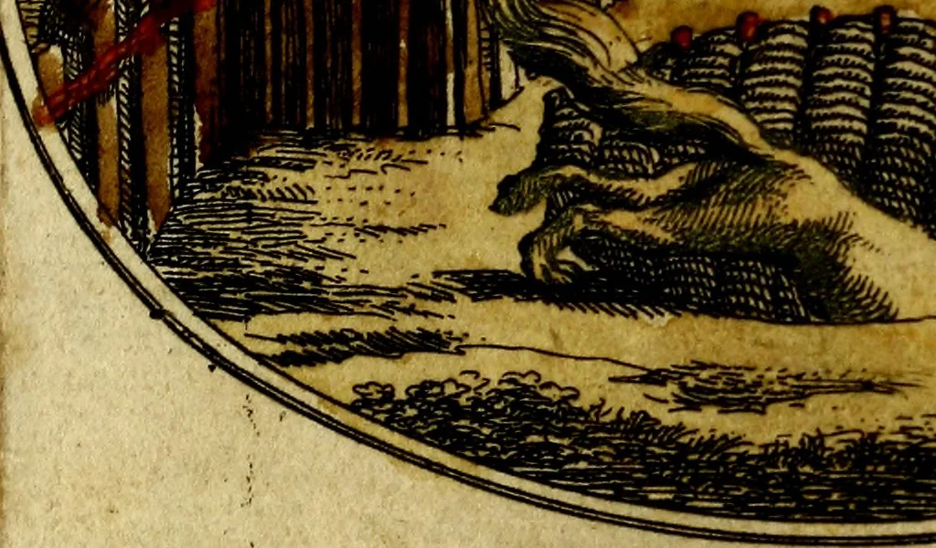An illustration from Die mit teutschen Saiten überzogene, heilige Kron-Harffe, oder, Verfassung des gantzen Psalter Davids in teutsche Reim-Gebände : vermittelst sonderbarer darzu mit dem basso continuo, neu-verfertigter Kunst-Melodeyen ..., 1680, leaf 420