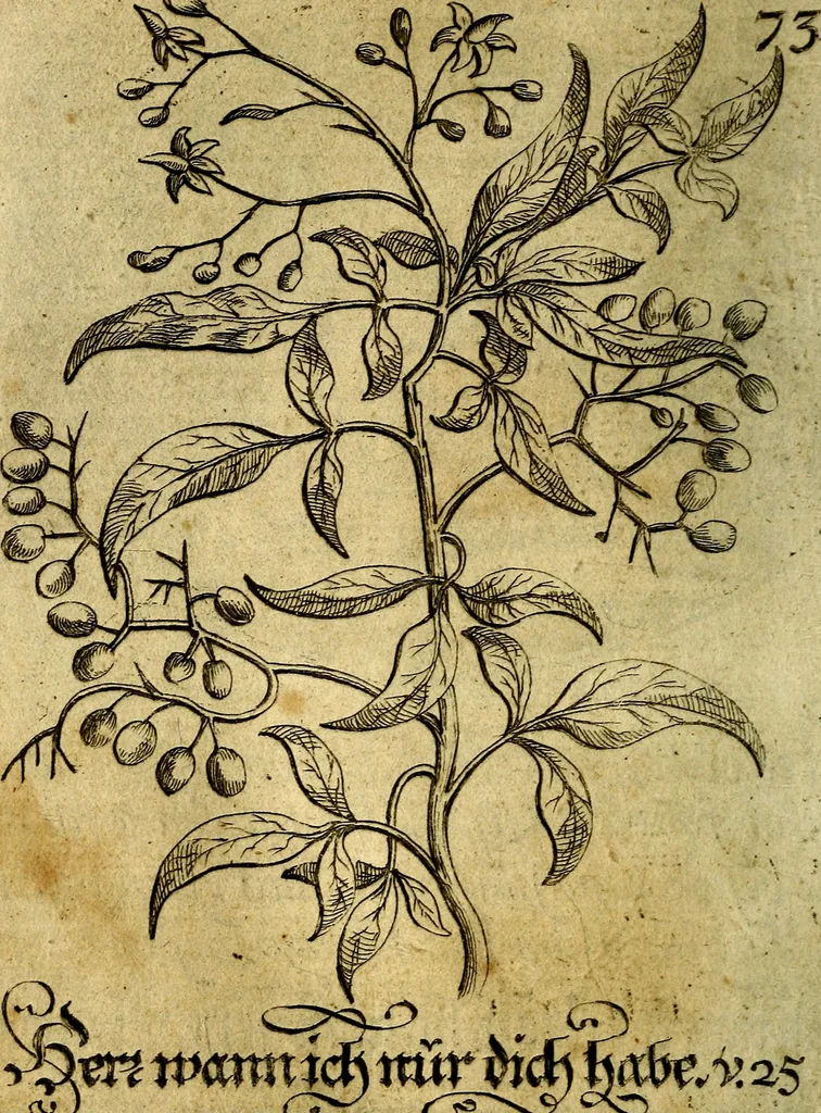 An illustration from Die mit teutschen Saiten überzogene, heilige Kron-Harffe, oder, Verfassung des gantzen Psalter Davids in teutsche Reim-Gebände : vermittelst sonderbarer darzu mit dem basso continuo, neu-verfertigter Kunst-Melodeyen ..., 1680, leaf 421