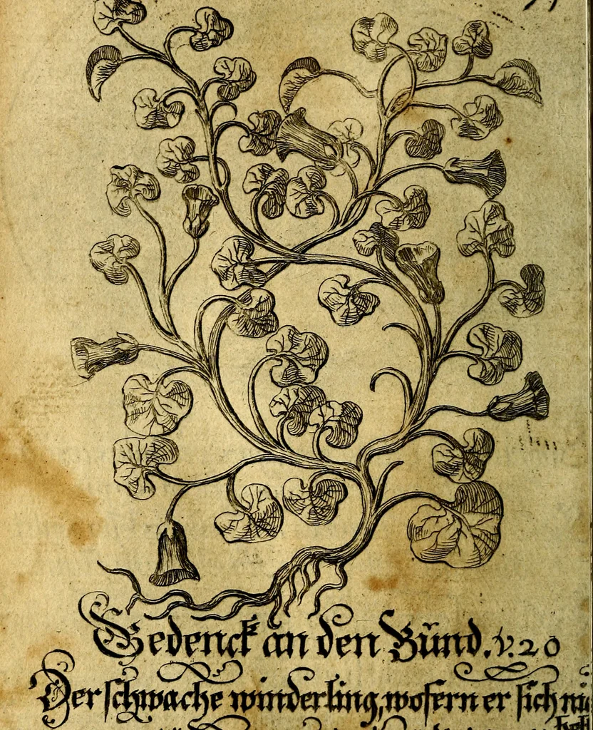 An illustration from Die mit teutschen Saiten überzogene, heilige Kron-Harffe, oder, Verfassung des gantzen Psalter Davids in teutsche Reim-Gebände : vermittelst sonderbarer darzu mit dem basso continuo, neu-verfertigter Kunst-Melodeyen ..., 1680, leaf 427