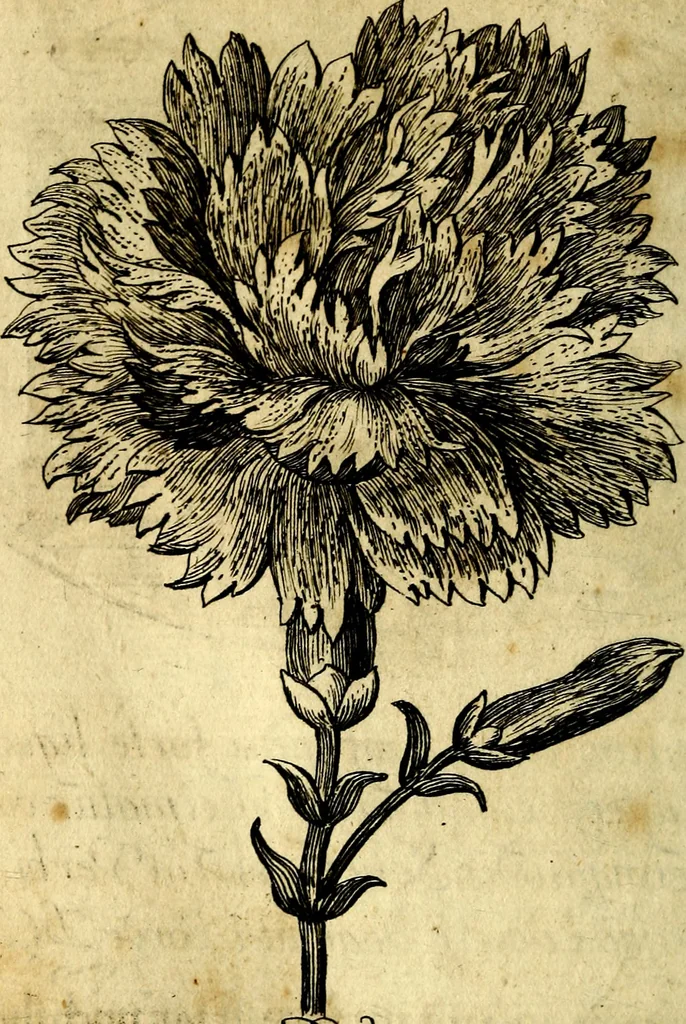 An illustration from Die mit teutschen Saiten überzogene, heilige Kron-Harffe, oder, Verfassung des gantzen Psalter Davids in teutsche Reim-Gebände : vermittelst sonderbarer darzu mit dem basso continuo, neu-verfertigter Kunst-Melodeyen ..., 1680, leaf 469