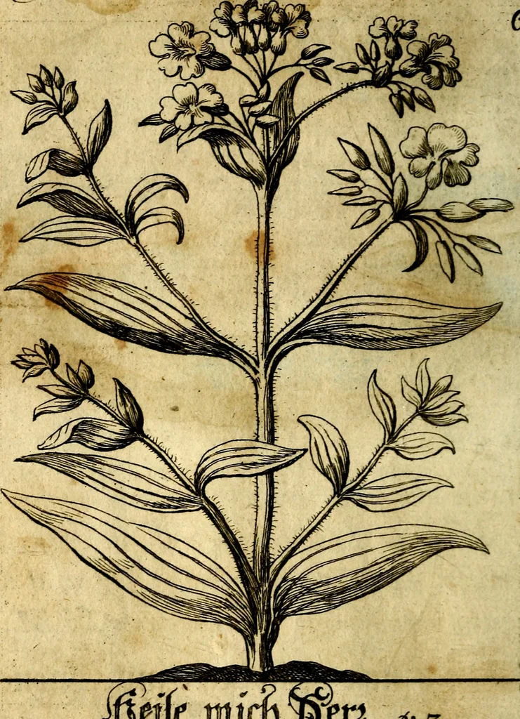 An illustration from Die mit teutschen Saiten überzogene, heilige Kron-Harffe, oder, Verfassung des gantzen Psalter Davids in teutsche Reim-Gebände : vermittelst sonderbarer darzu mit dem basso continuo, neu-verfertigter Kunst-Melodeyen ..., 1680, leaf 47