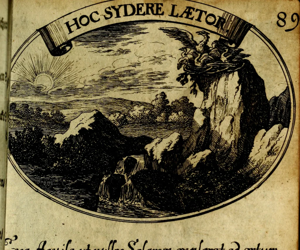 An illustration from Die mit teutschen Saiten überzogene, heilige Kron-Harffe, oder, Verfassung des gantzen Psalter Davids in teutsche Reim-Gebände : vermittelst sonderbarer darzu mit dem basso continuo, neu-verfertigter Kunst-Melodeyen ..., 1680, leaf 504