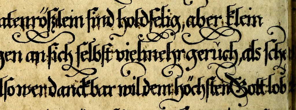 An illustration from Die mit teutschen Saiten überzogene, heilige Kron-Harffe, oder, Verfassung des gantzen Psalter Davids in teutsche Reim-Gebände : vermittelst sonderbarer darzu mit dem basso continuo, neu-verfertigter Kunst-Melodeyen ..., 1680, leaf 565