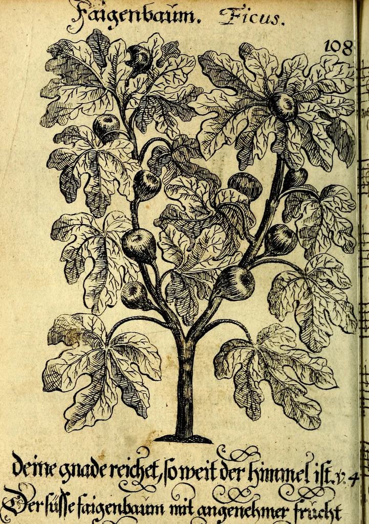 An illustration from Die mit teutschen Saiten überzogene, heilige Kron-Harffe, oder, Verfassung des gantzen Psalter Davids in teutsche Reim-Gebände : vermittelst sonderbarer darzu mit dem basso continuo, neu-verfertigter Kunst-Melodeyen ..., 1680, leaf 617