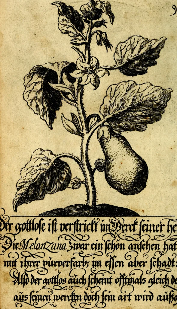 An illustration from Die mit teutschen Saiten überzogene, heilige Kron-Harffe, oder, Verfassung des gantzen Psalter Davids in teutsche Reim-Gebände : vermittelst sonderbarer darzu mit dem basso continuo, neu-verfertigter Kunst-Melodeyen ..., 1680, leaf 63