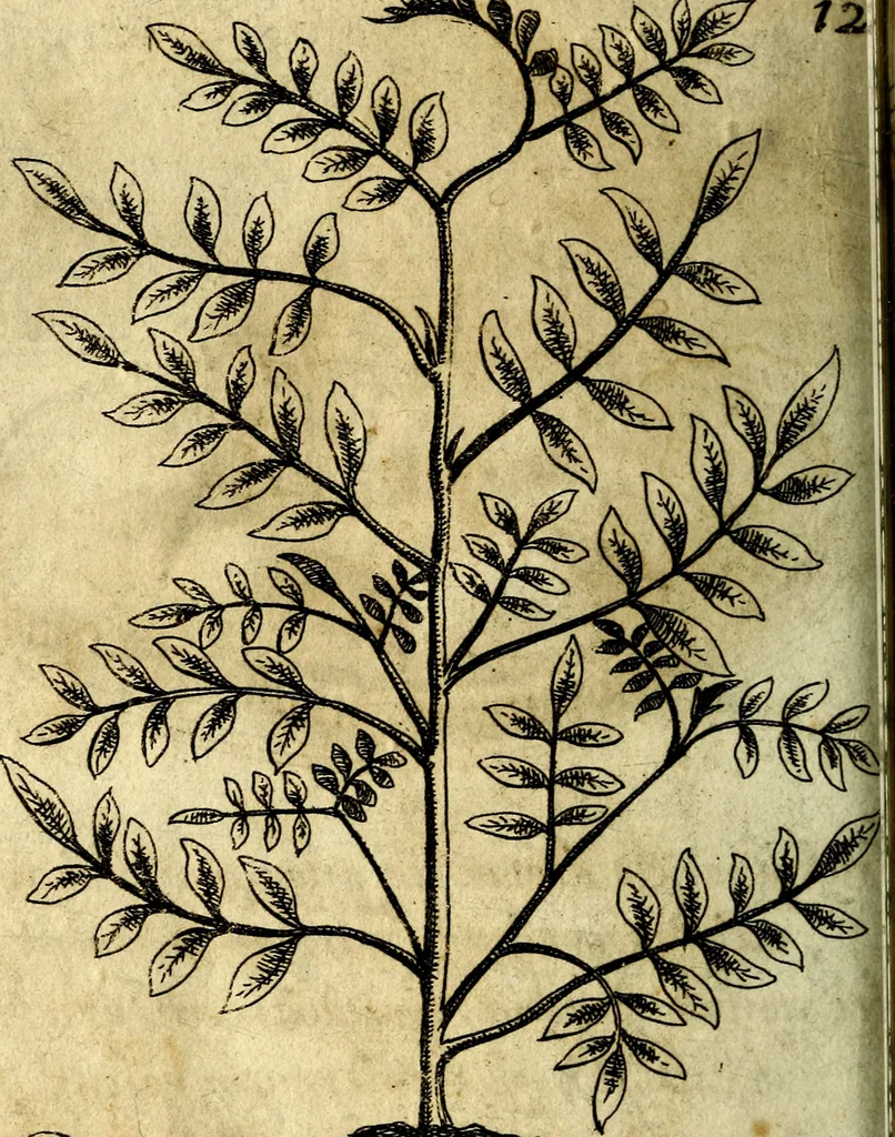 An illustration from Die mit teutschen Saiten überzogene, heilige Kron-Harffe, oder, Verfassung des gantzen Psalter Davids in teutsche Reim-Gebände : vermittelst sonderbarer darzu mit dem basso continuo, neu-verfertigter Kunst-Melodeyen ..., 1680, leaf 721