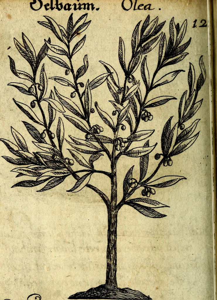 An illustration from Die mit teutschen Saiten überzogene, heilige Kron-Harffe, oder, Verfassung des gantzen Psalter Davids in teutsche Reim-Gebände : vermittelst sonderbarer darzu mit dem basso continuo, neu-verfertigter Kunst-Melodeyen ..., 1680, leaf 725