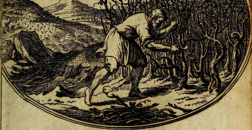 An illustration from Die mit teutschen Saiten überzogene, heilige Kron-Harffe, oder, Verfassung des gantzen Psalter Davids in teutsche Reim-Gebände : vermittelst sonderbarer darzu mit dem basso continuo, neu-verfertigter Kunst-Melodeyen ..., 1680, leaf 728