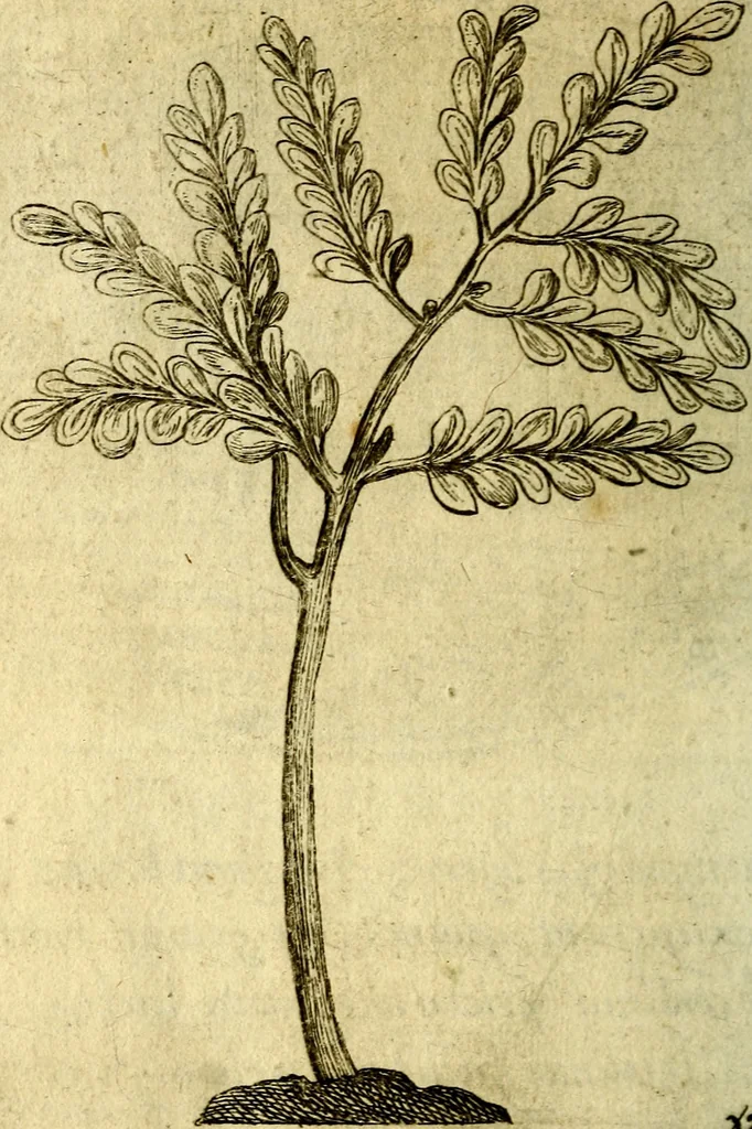 An illustration from Die mit teutschen Saiten überzogene, heilige Kron-Harffe, oder, Verfassung des gantzen Psalter Davids in teutsche Reim-Gebände : vermittelst sonderbarer darzu mit dem basso continuo, neu-verfertigter Kunst-Melodeyen ..., 1680, leaf 761