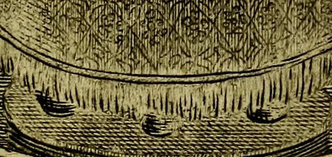 An illustration from Die mit teutschen Saiten überzogene, heilige Kron-Harffe, oder, Verfassung des gantzen Psalter Davids in teutsche Reim-Gebände : vermittelst sonderbarer darzu mit dem basso continuo, neu-verfertigter Kunst-Melodeyen ..., 1680, leaf 780