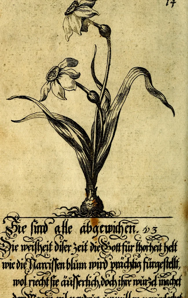 An illustration from Die mit teutschen Saiten überzogene, heilige Kron-Harffe, oder, Verfassung des gantzen Psalter Davids in teutsche Reim-Gebände : vermittelst sonderbarer darzu mit dem basso continuo, neu-verfertigter Kunst-Melodeyen ..., 1680, leaf 89