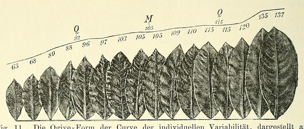 An illustration from Die mutationstheorie. Versuche und beobachtungen über die entstehung von arten im pflanzenreich, 1901, leaf 54