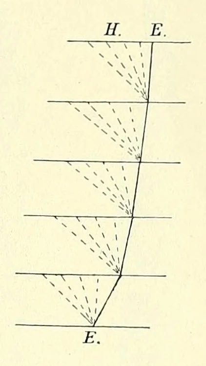 An illustration from Die mutationstheorie. Versuche und beobachtungen über die entstehung von arten im pflanzenreich, 1901, leaf 97