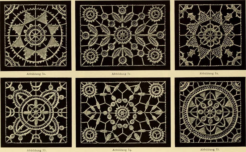 An illustration from Die Nadelspitzen : (Ite Serie), 1890, leaf 14
