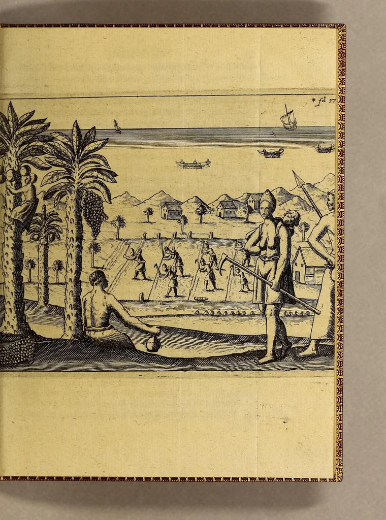 An illustration from Die neuntzehende Schiffarth, inhaltendt, Fünff Schiffarthen Samuel Brauns Burgers vnd Wund Artzt zu Basel, so er vor kurtzen Jahren in vnterschiedliche frembde Königreich vnd Landschafften glücklich gethan, nemlich, in Africam vnd dessen Provincien Congo, Bansa Loanga, Angola, Guinea, Morenland, Bennin, Amboisa, vnd zu dem festen Castell Nassaw in More. : Item gen Alexandriam in Syrien, in Portugall, Hispanien, Italien, wie auch vnterschiedliche Insulen, als da seynd die Canarien, Madera, Cales Males, Malta, Candia, Sicilein, Sardegna, Corfu, vnd andere mehr, biss zu seiner Widerkunfft in Hollandt, 1626, leaf 23