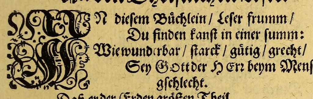 An illustration from Die neuntzehende Schiffarth, inhaltendt, Fünff Schiffarthen Samuel Brauns Burgers vnd Wund Artzt zu Basel, so er vor kurtzen Jahren in vnterschiedliche frembde Königreich vnd Landschafften glücklich gethan, nemlich, in Africam vnd dessen Provincien Congo, Bansa Loanga, Angola, Guinea, Morenland, Bennin, Amboisa, vnd zu dem festen Castell Nassaw in More. : Item gen Alexandriam in Syrien, in Portugall, Hispanien, Italien, wie auch vnterschiedliche Insulen, als da seynd die Canarien, Madera, Cales Males, Malta, Candia, Sicilein, Sardegna, Corfu, vnd andere mehr, biss zu seiner Widerkunfft in Hollandt, 1626, leaf 9