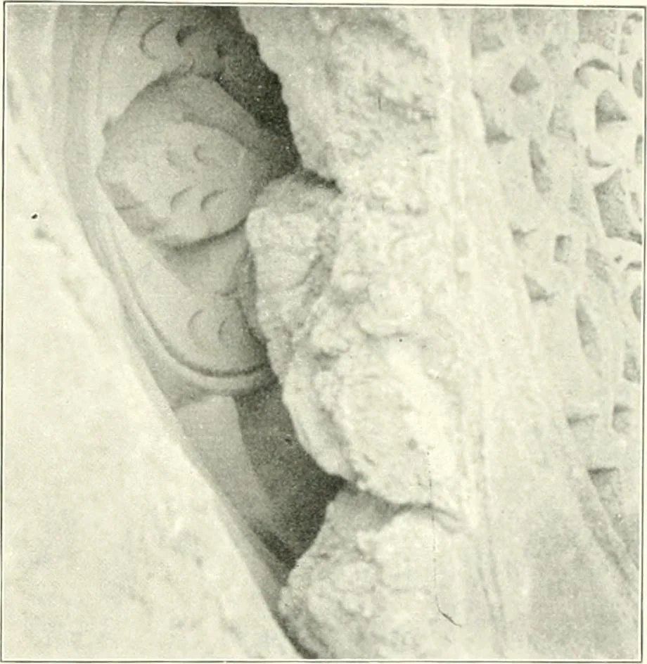 An illustration from Die Ornamente der Hakim- und Ashar-Moschee; Materialien zur Geschichte der älteren Kunst des Islam, 1912, leaf 98