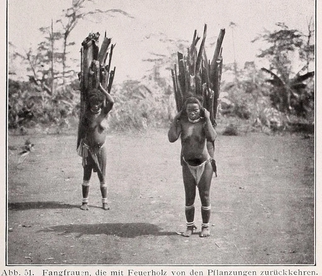 An illustration from Die Pangwe; völkerkundliche Monographie eines westafrikanischen Negerstammes; Ergebnisse der Lübecker Pangwe-expedition 1907-1909 und früherer Forschungen 1904-1907, 1913, leaf 131