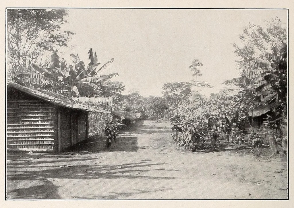 An illustration from Die Pangwe; völkerkundliche Monographie eines westafrikanischen Negerstammes; Ergebnisse der Lübecker Pangwe-expedition 1907-1909 und früherer Forschungen 1904-1907, 1913, leaf 228