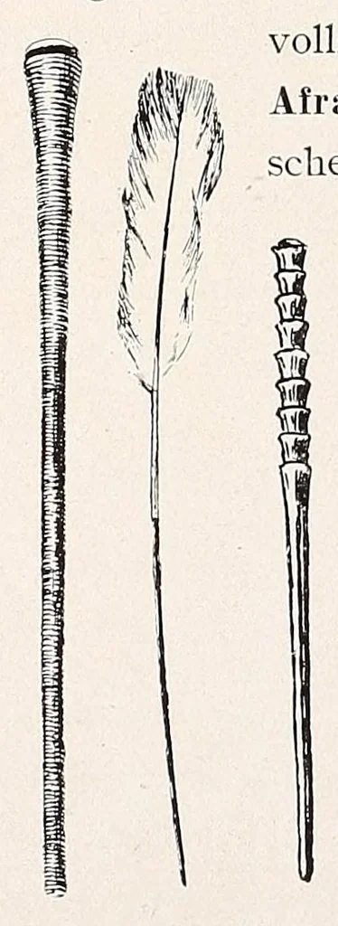 An illustration from Die Pangwe; völkerkundliche Monographie eines westafrikanischen Negerstammes; Ergebnisse der Lübecker Pangwe-expedition 1907-1909 und früherer Forschungen 1904-1907, 1913, leaf 242