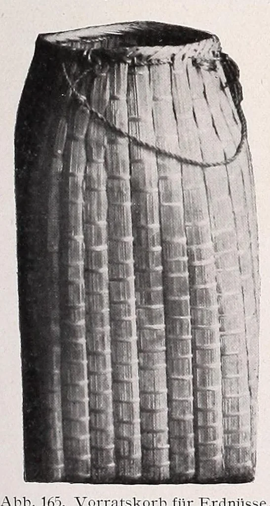 An illustration from Die Pangwe; völkerkundliche Monographie eines westafrikanischen Negerstammes; Ergebnisse der Lübecker Pangwe-expedition 1907-1909 und früherer Forschungen 1904-1907, 1913, leaf 277