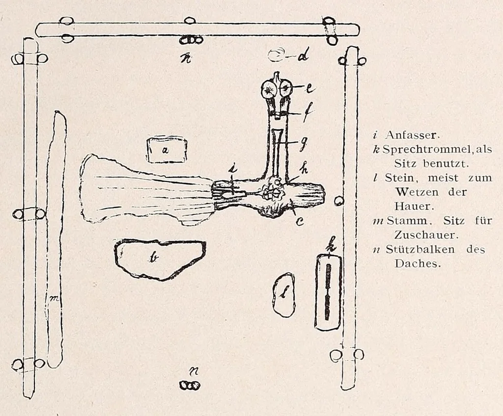An illustration from Die Pangwe; völkerkundliche Monographie eines westafrikanischen Negerstammes; Ergebnisse der Lübecker Pangwe-expedition 1907-1909 und früherer Forschungen 1904-1907, 1913, leaf 307