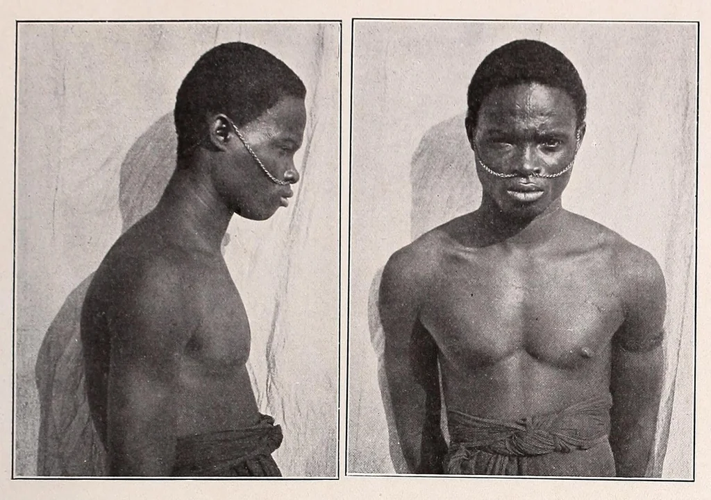 An illustration from Die Pangwe; völkerkundliche Monographie eines westafrikanischen Negerstammes; Ergebnisse der Lübecker Pangwe-expedition 1907-1909 und früherer Forschungen 1904-1907, 1913, leaf 47