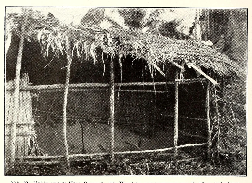 An illustration from Die Pangwe; völkerkundliche Monographie eines westafrikanischen Negerstammes; Ergebnisse der Lübecker Pangwe-expedition 1907-1909 und früherer Forschungen 1904-1907, 1913, leaf 106