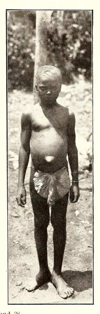 An illustration from Die Pangwe; völkerkundliche Monographie eines westafrikanischen Negerstammes; Ergebnisse der Lübecker Pangwe-expedition 1907-1909 und früherer Forschungen 1904-1907, 1913, leaf 121