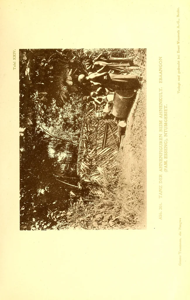 An illustration from Die Pangwe; völkerkundliche Monographie eines westafrikanischen Negerstammes; Ergebnisse der Lübecker Pangwe-expedition 1907-1909 und früherer Forschungen 1904-1907, 1913, leaf 141