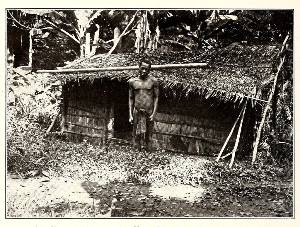 An illustration from Die Pangwe; völkerkundliche Monographie eines westafrikanischen Negerstammes; Ergebnisse der Lübecker Pangwe-expedition 1907-1909 und früherer Forschungen 1904-1907, 1913, leaf 192