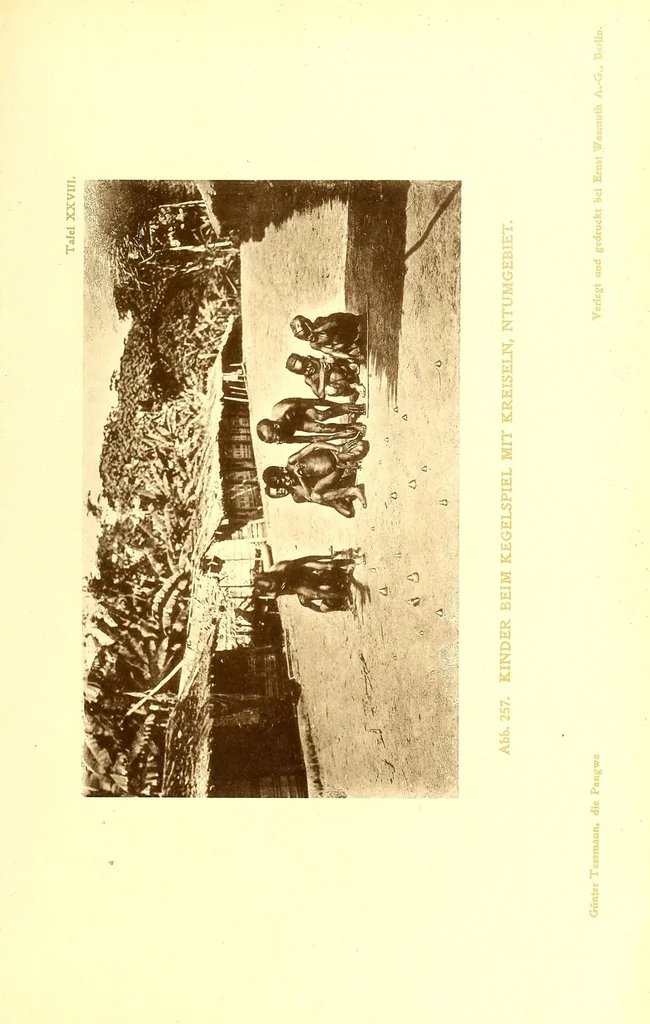 An illustration from Die Pangwe; völkerkundliche Monographie eines westafrikanischen Negerstammes; Ergebnisse der Lübecker Pangwe-expedition 1907-1909 und früherer Forschungen 1904-1907, 1913, leaf 329