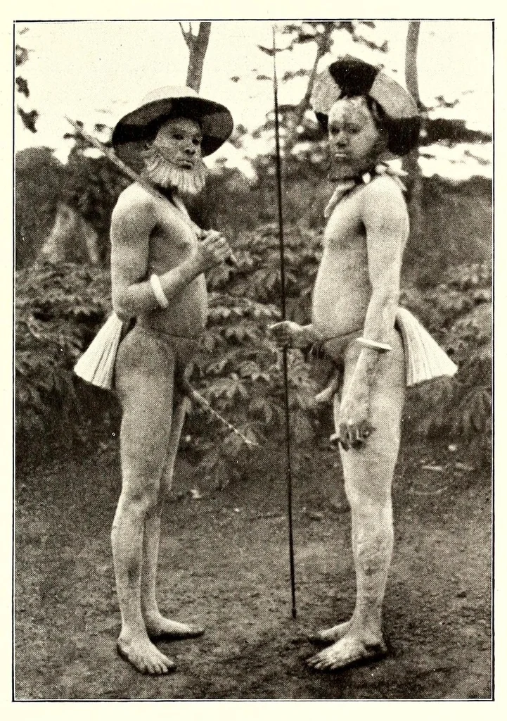 An illustration from Die Pangwe; völkerkundliche Monographie eines westafrikanischen Negerstammes; Ergebnisse der Lübecker Pangwe-expedition 1907-1909 und früherer Forschungen 1904-1907, 1913, leaf 57