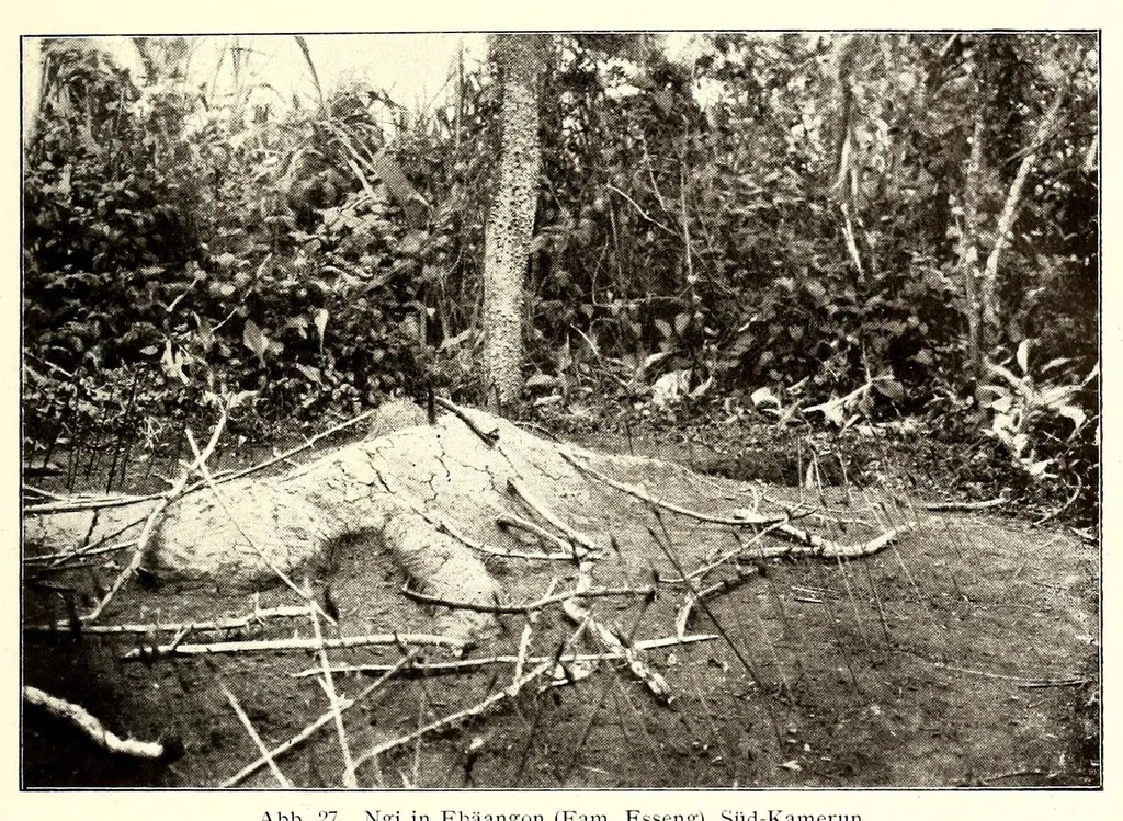 An illustration from Die Pangwe; völkerkundliche Monographie eines westafrikanischen Negerstammes; Ergebnisse der Lübecker Pangwe-expedition 1907-1909 und früherer Forschungen 1904-1907, 1913, leaf 95