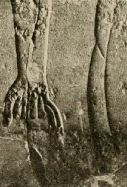 An illustration from Die Plastik der Ägypter, 1922, leaf 187