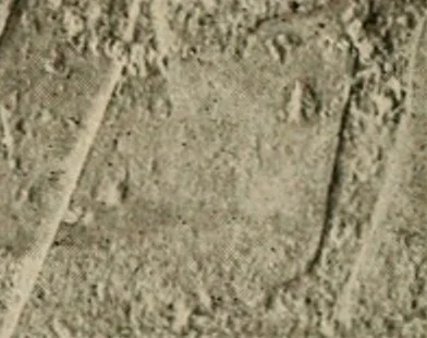 An illustration from Die Plastik der Ägypter, 1922, leaf 187